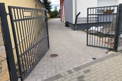 IMG_0593